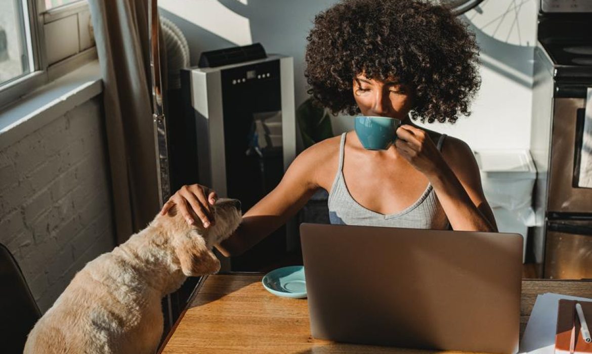 sole ownership considerations explored