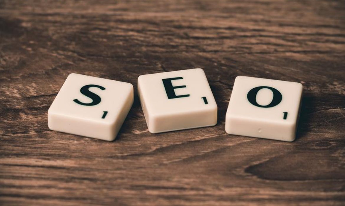 seo services in somaliland